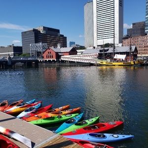 Meet your Posher, Susan